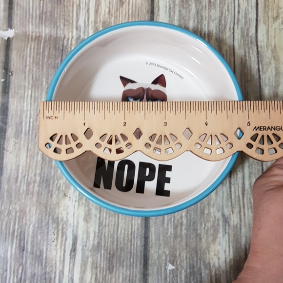 NWOT Grunpy Cat cat dish - Picture 4 of 4